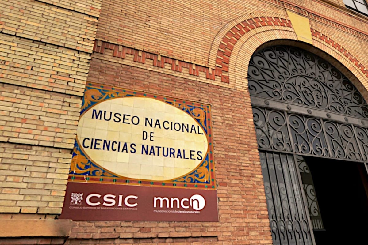 Balearic Museum of Natural Sciences