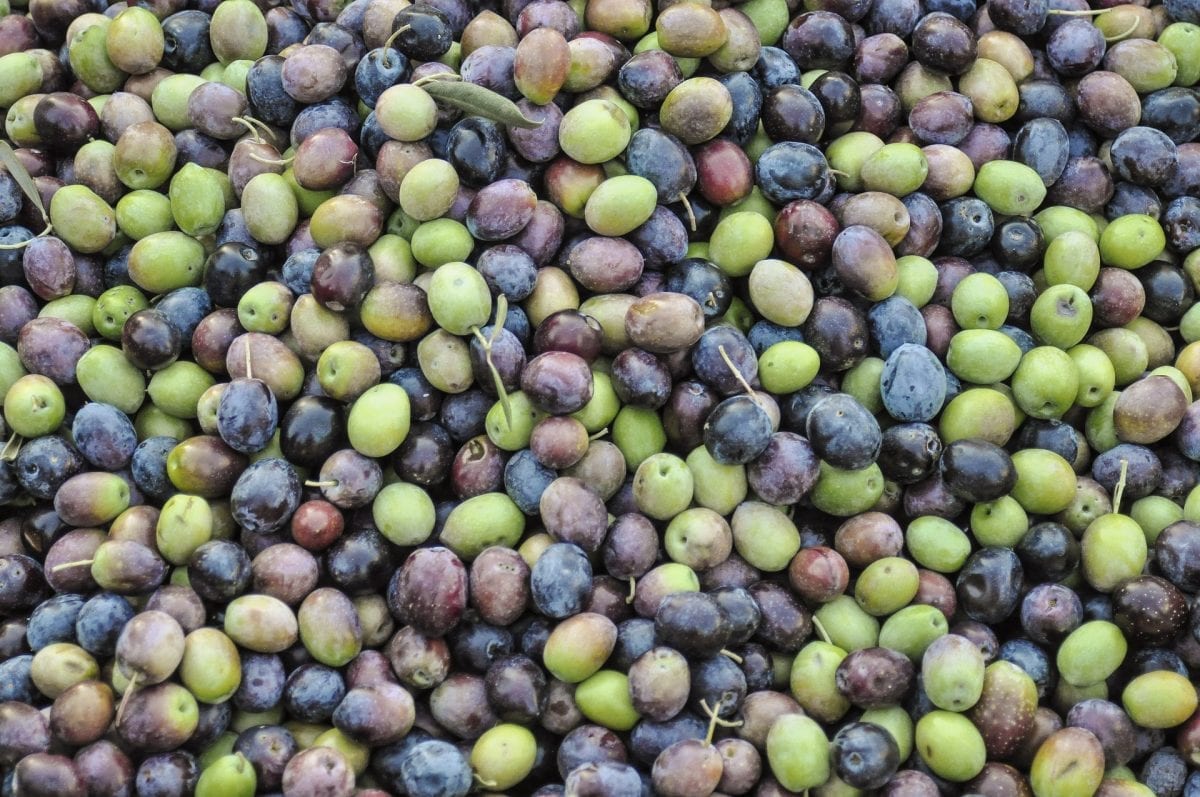 Inca Market